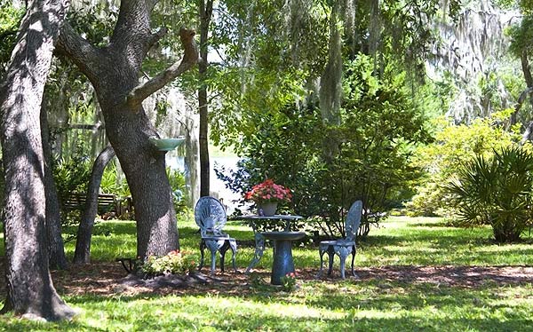 Dancing Peacock Paradise photo by Azore